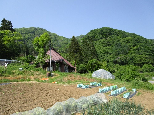 田舎 暮らし 無料 物件